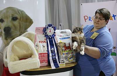 �������� ����� '���-�����-������' 22-23 ������ 2014 10-181-169A9534 copy.jpg